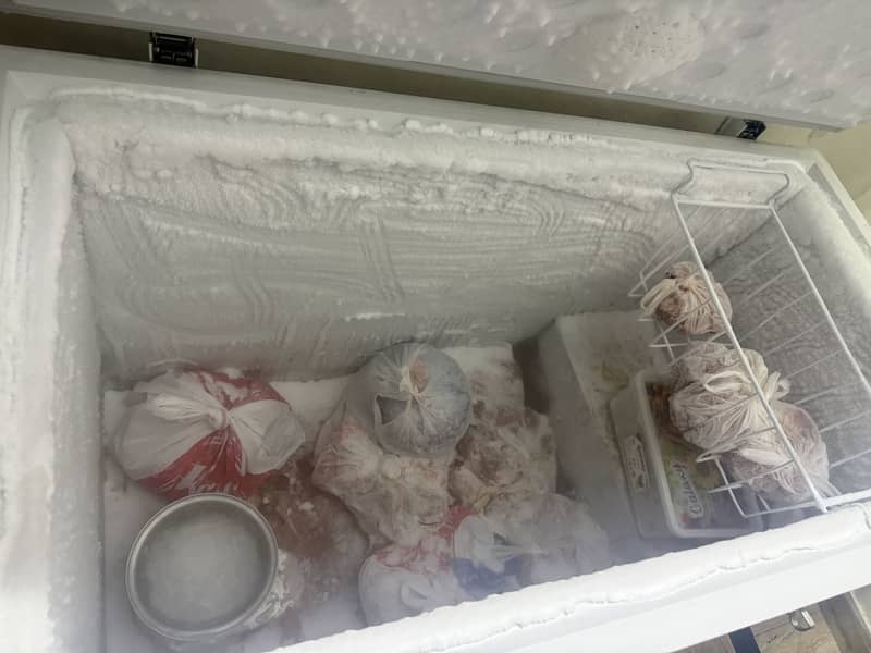 D Freezer 1