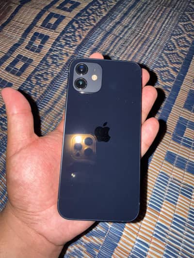 Apple iPhone 12