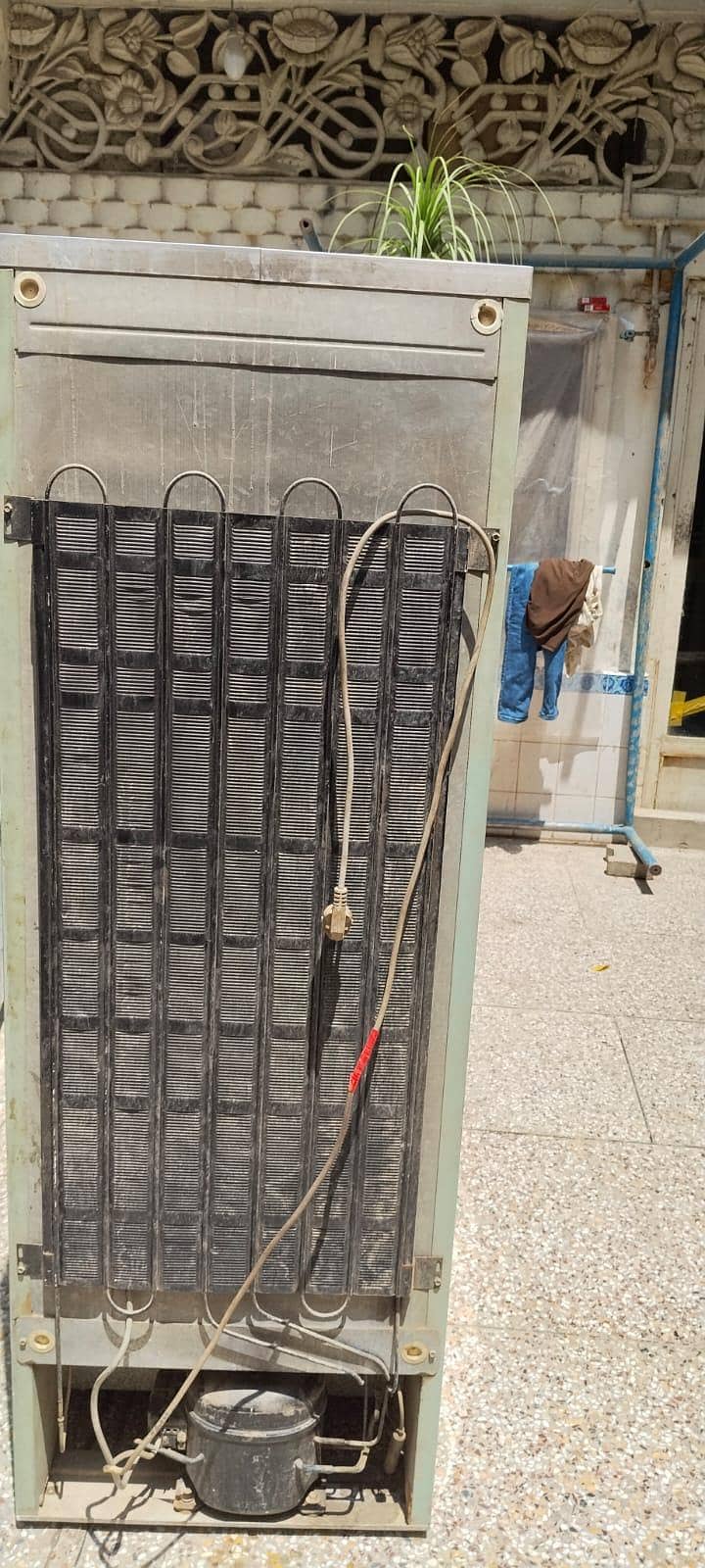 refrigerator 1