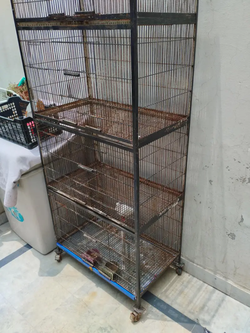 cage 2.5x1.5.  what's up  03016081288 — photo 2