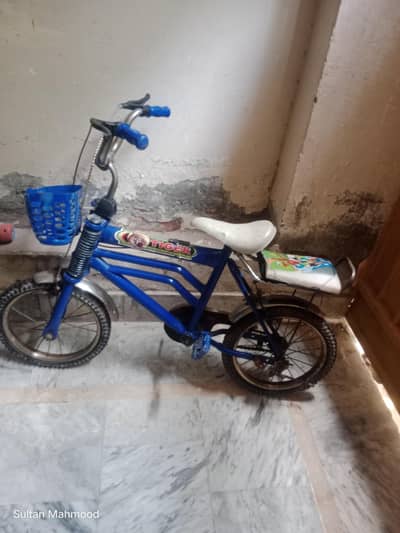 Bicycle for sale