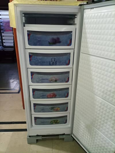 Vertical Inverter Freezer