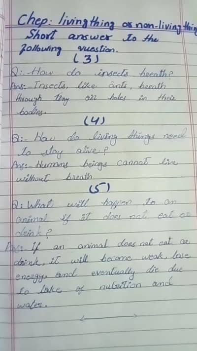 Assignment writting