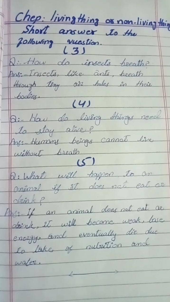 Assignment writting 0
