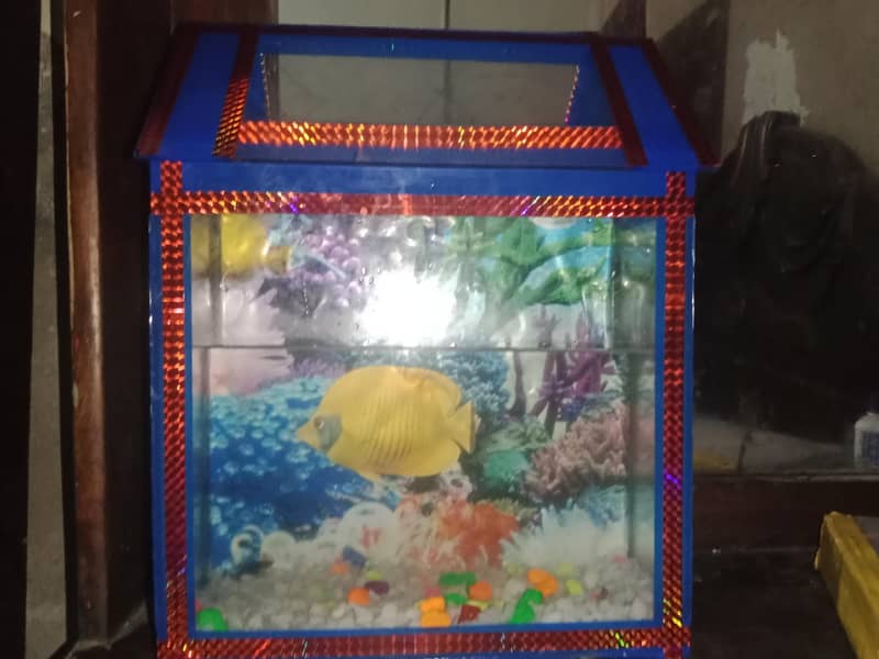 new  new 1