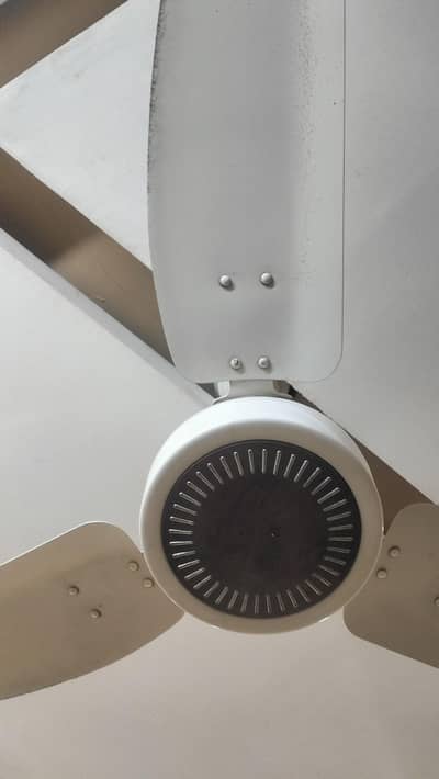 fan for sell