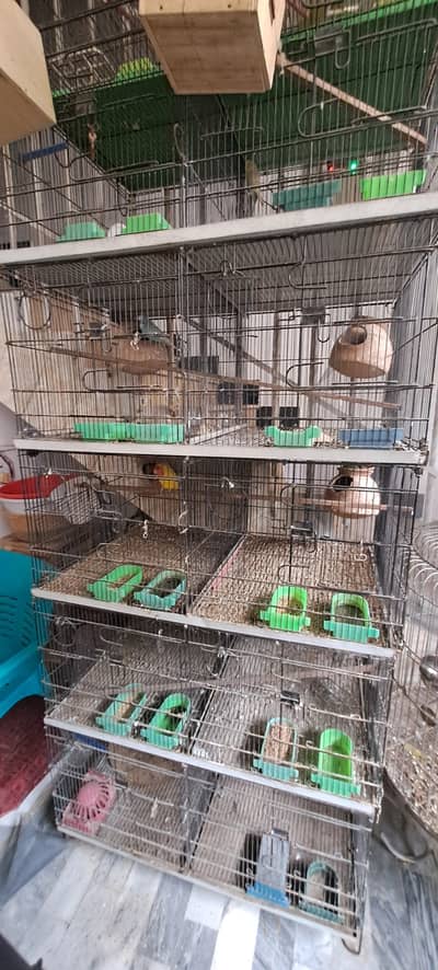 10 portion cage for sell