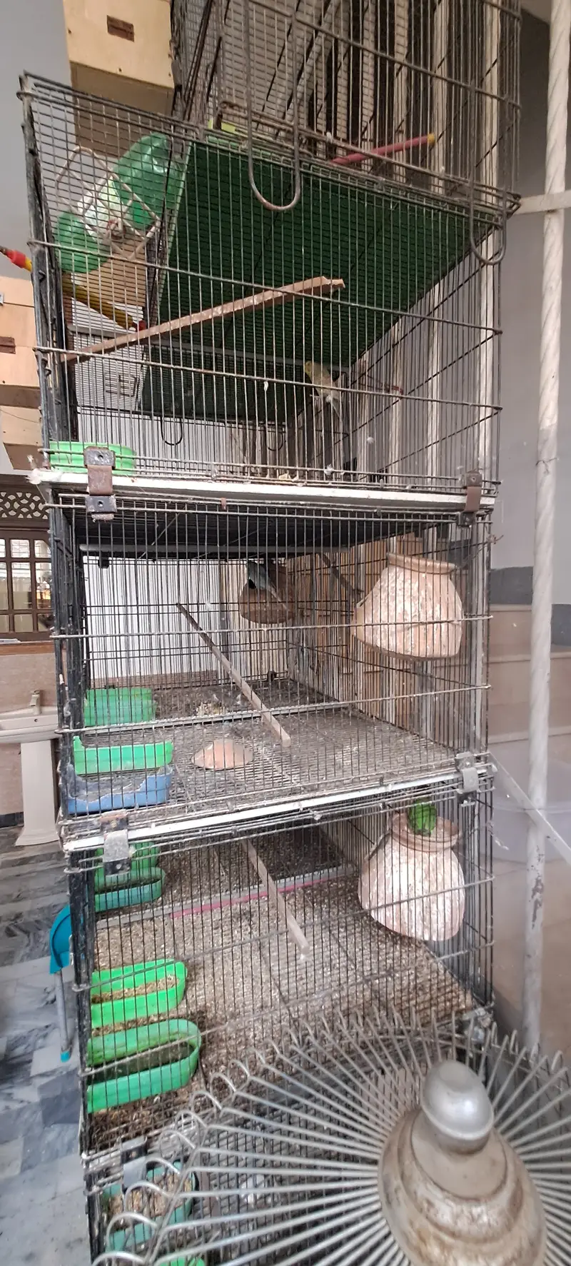 10 portion cage for sell — photo 2
