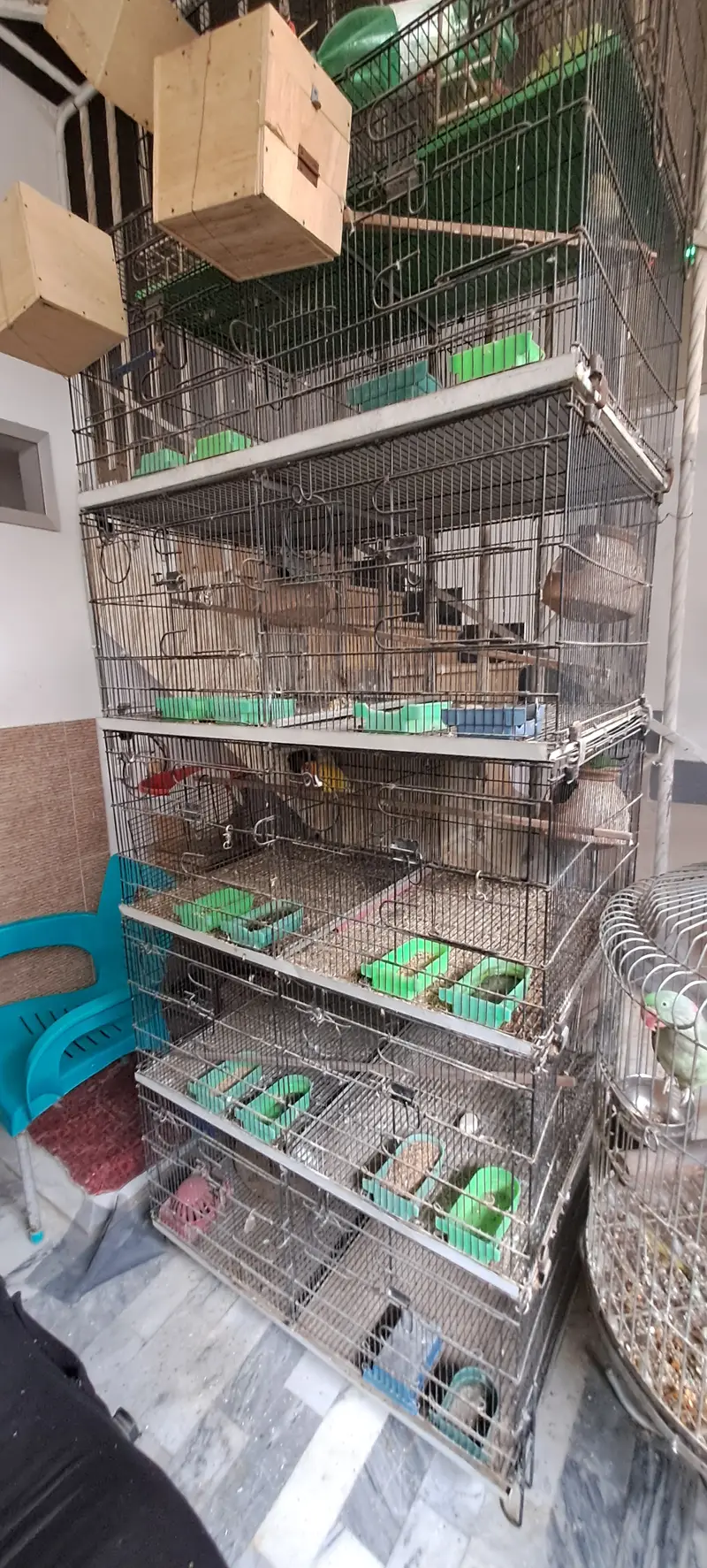 10 portion cage for sell — photo 3