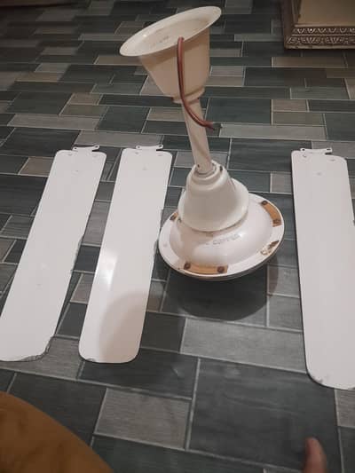 ceiling fans best condition