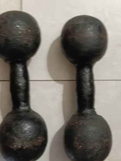 12 kg Dumbbell Pair + 2 Useful Fitness Items (100% Free]