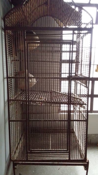 bird cage