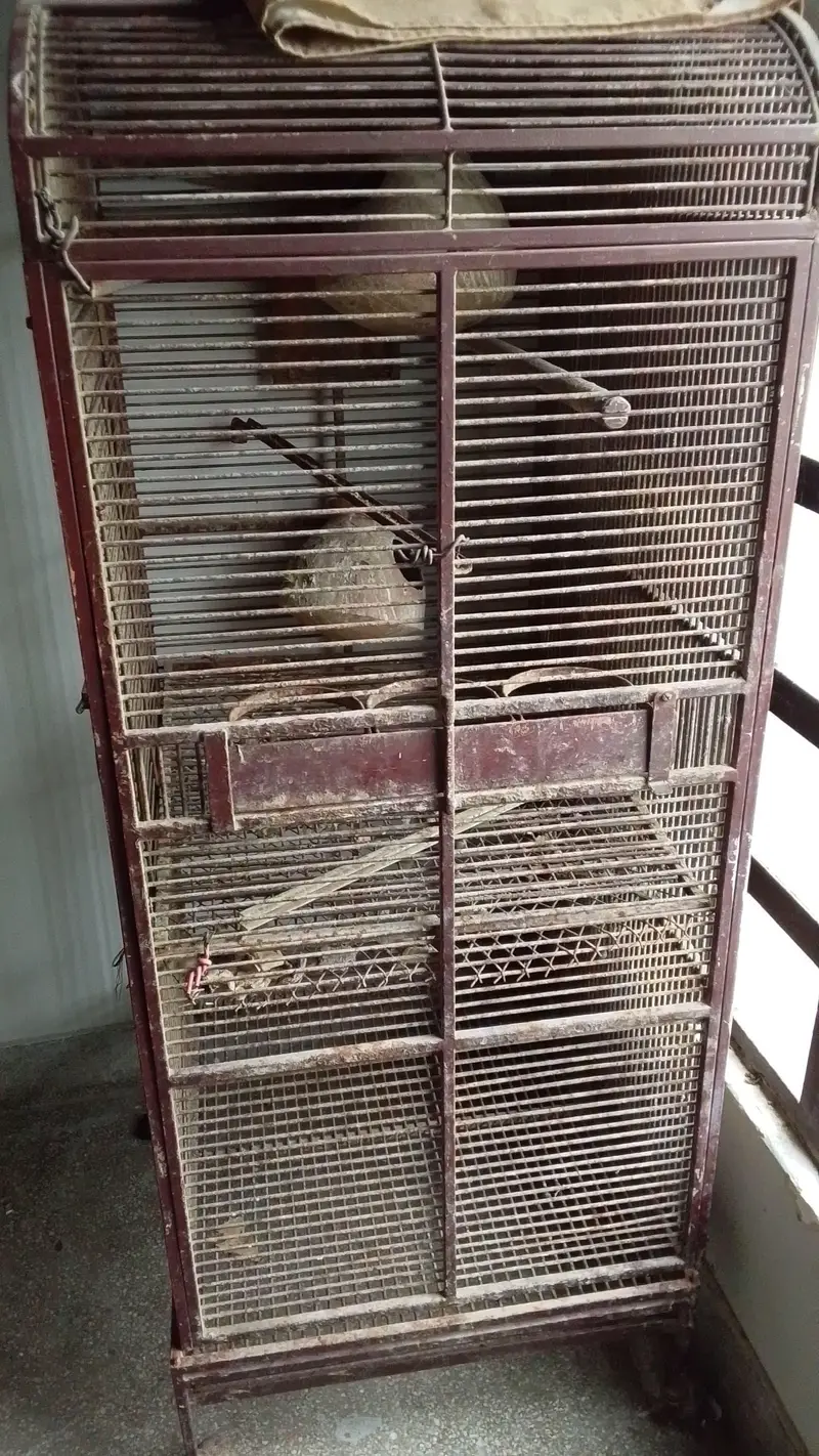 bird cage — photo 2