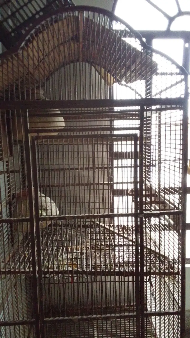 bird cage — photo 3