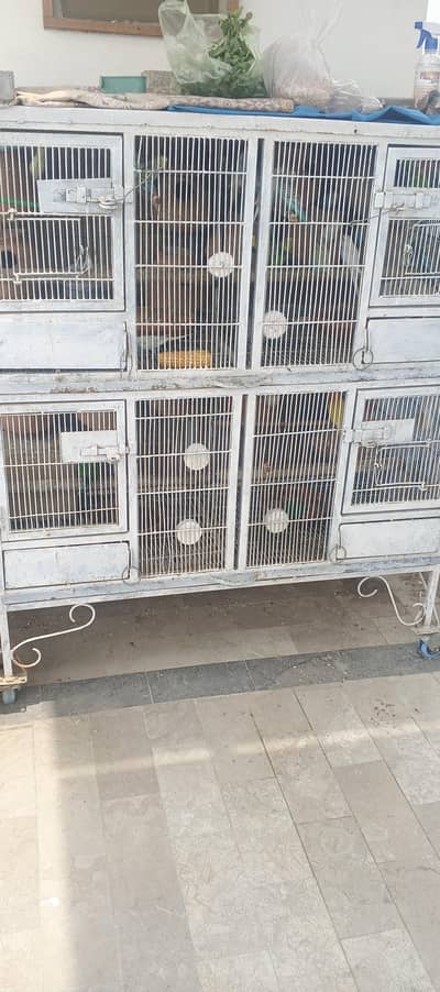 whole birds setup for sell