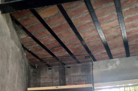 2 parrot cage Number. . 03351889446