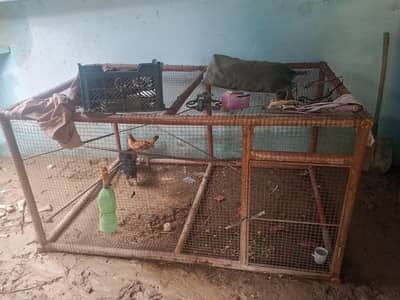 Animal cage