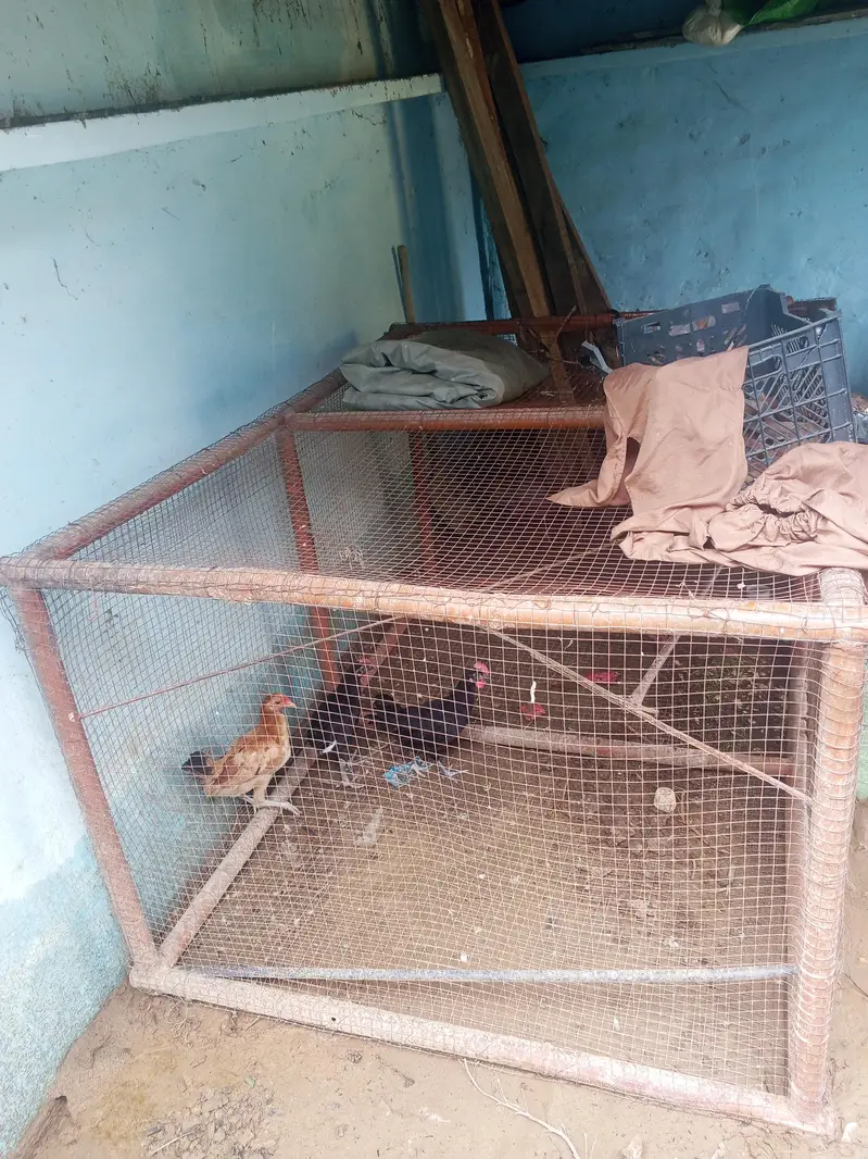 Animal cage — photo 2