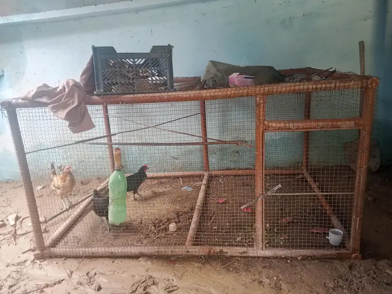 Animal cage — photo 4