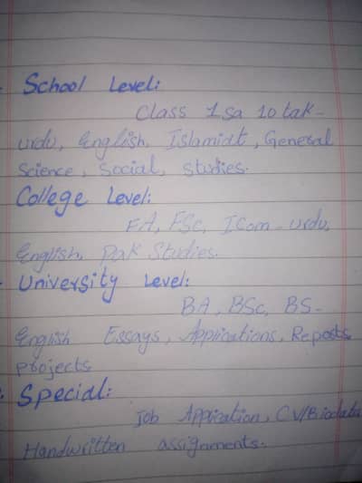 Urdu English assignment work neat and clean time par delivery