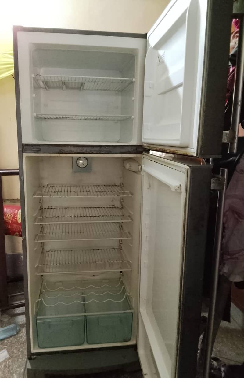 Electrolux fridge 1