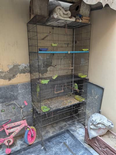 Iron / Metal cage for birds or pets