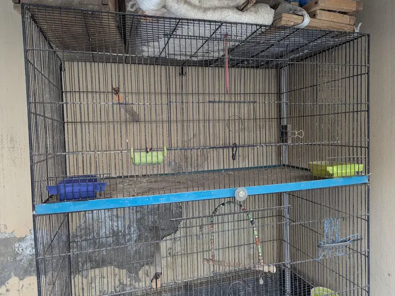 Iron / Metal cage for birds or pets — photo 2