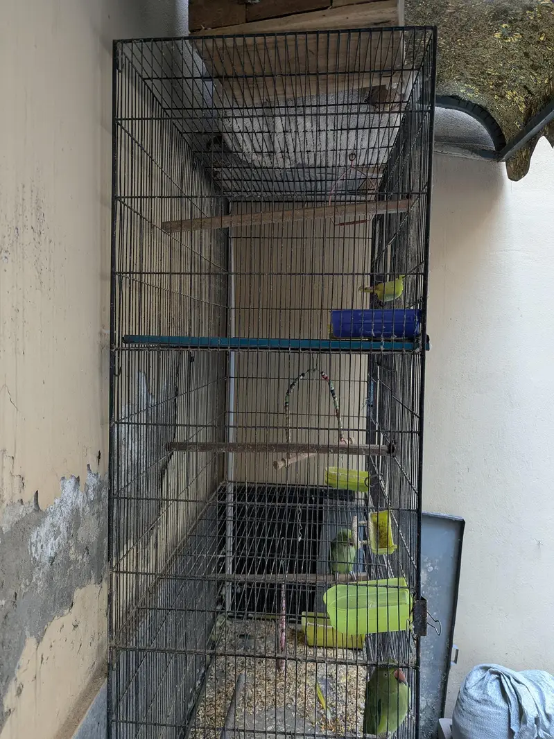 Iron / Metal cage for birds or pets — photo 3