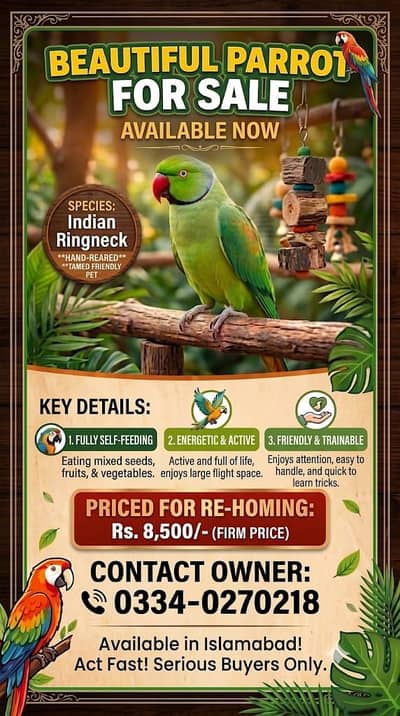 Green ringneck pathy for sale