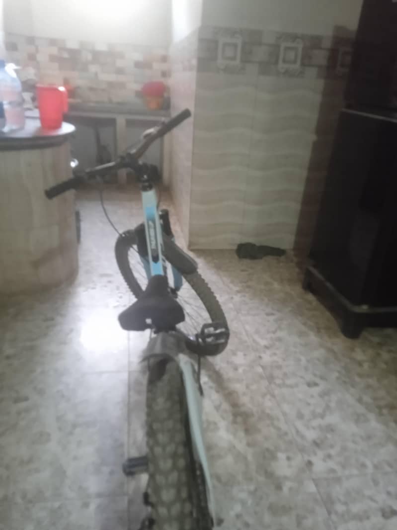 mountain Cycle 1