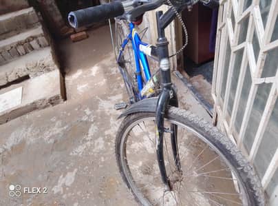mountain bike,morgan