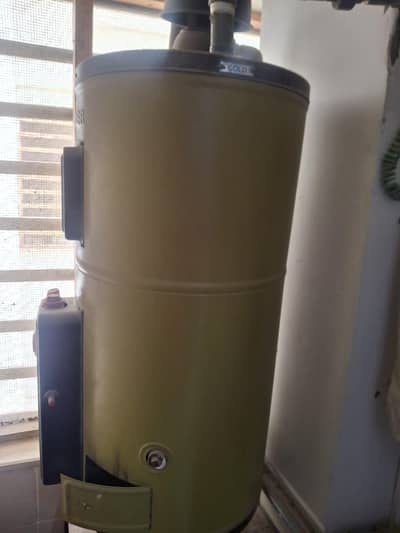 Singer 20 Gallon Geyser