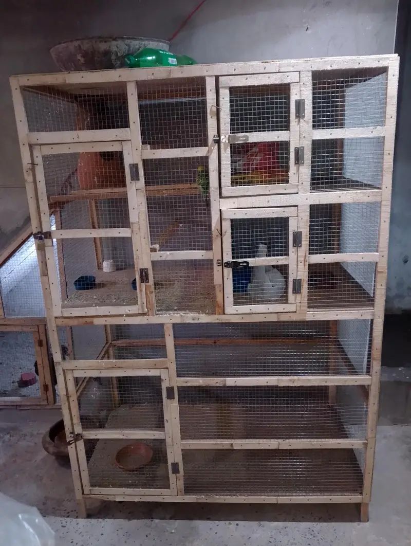 Heavy weight cage — photo 2