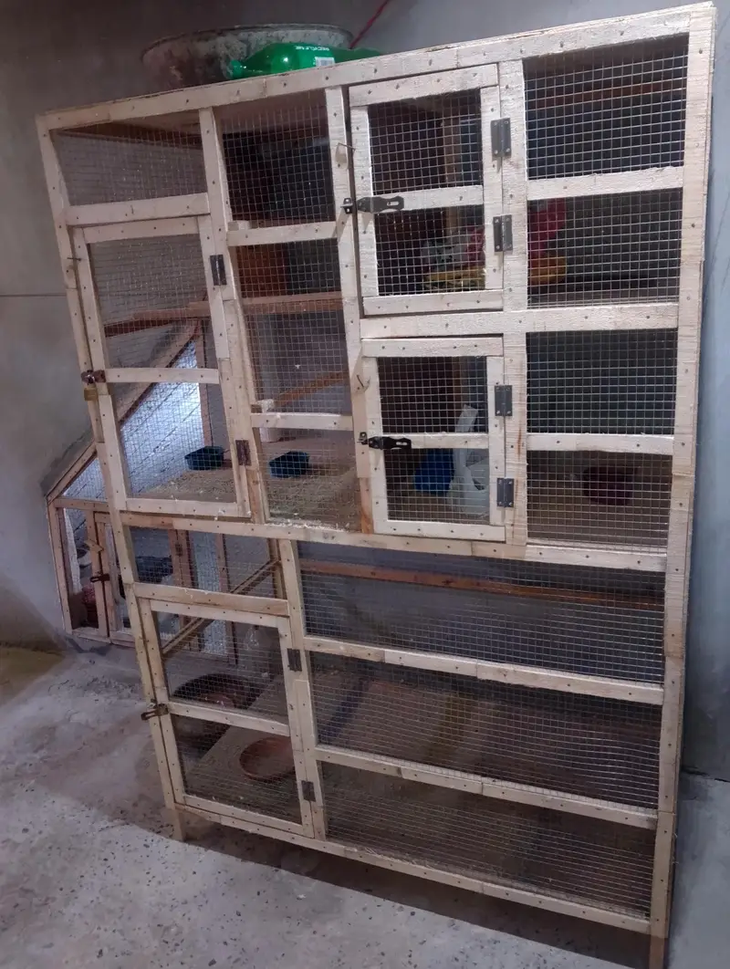 Heavy weight cage — photo 3