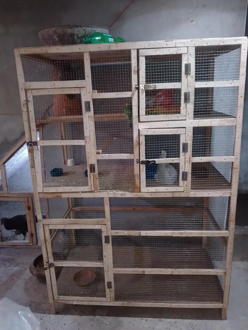 Heavy weight cage — photo 4