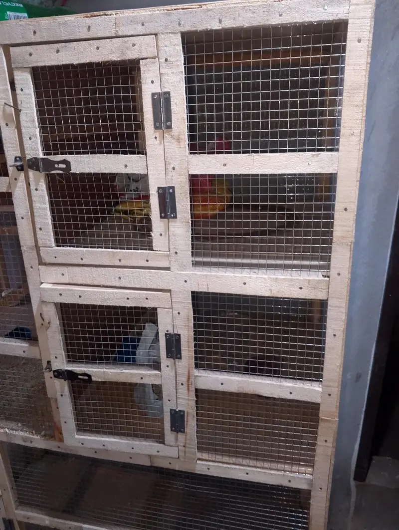 Heavy weight cage — photo 5