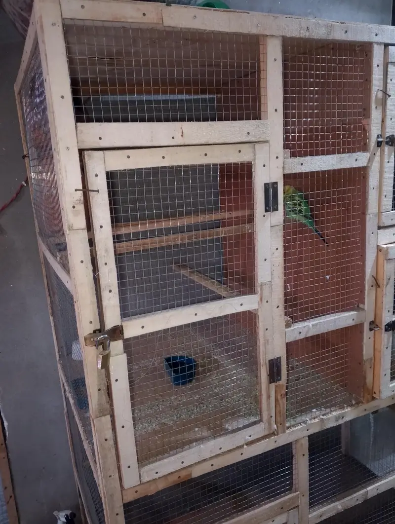 Heavy weight cage — photo 6
