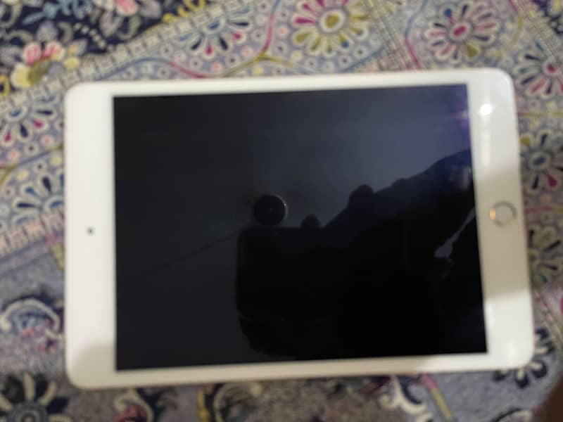 Ipad mini 4 0