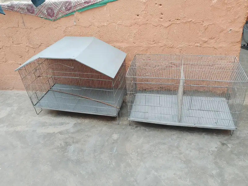 Iron cage — photo 3
