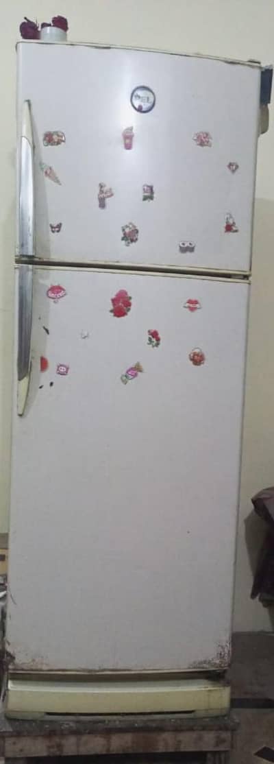 spacious Fridge
