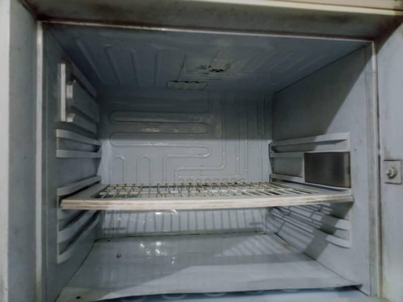 spacious Fridge 1