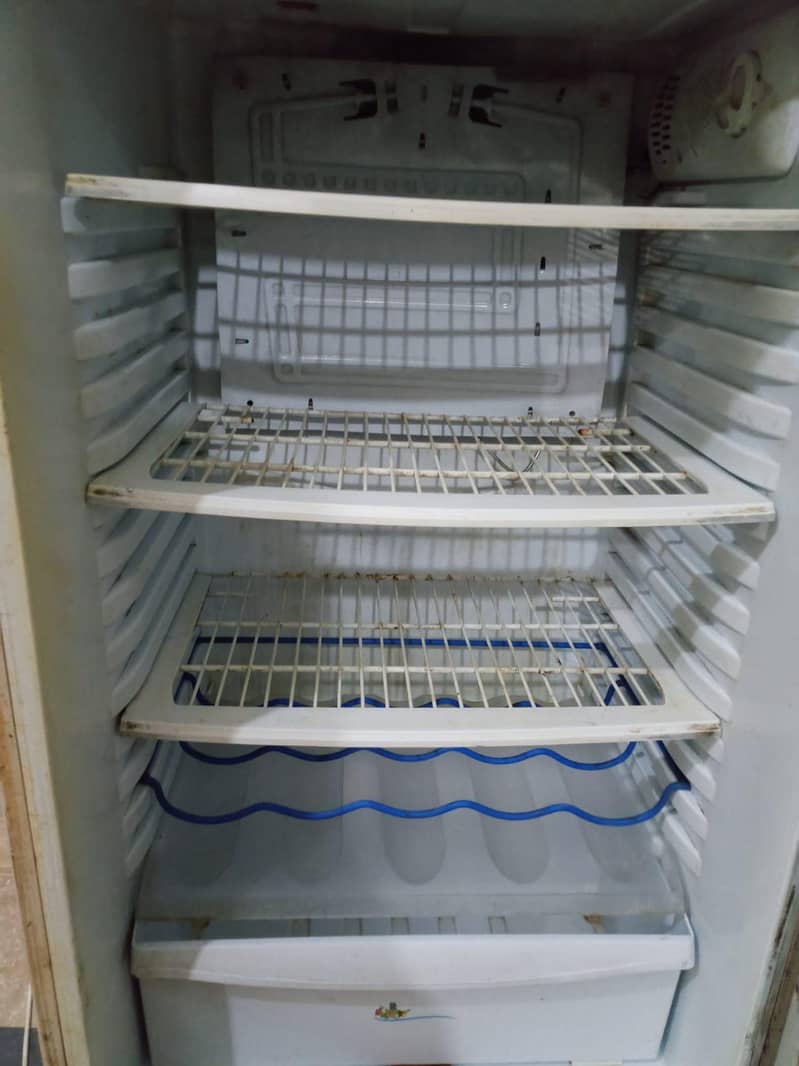 spacious Fridge 3