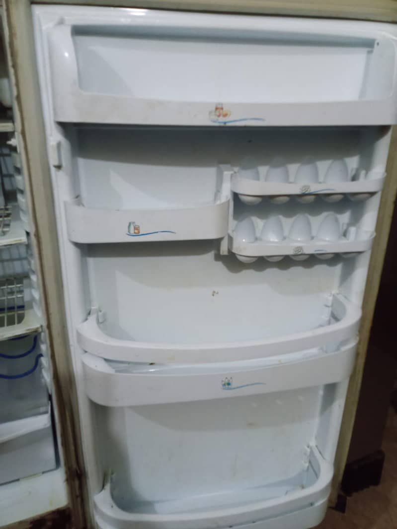 spacious Fridge 5