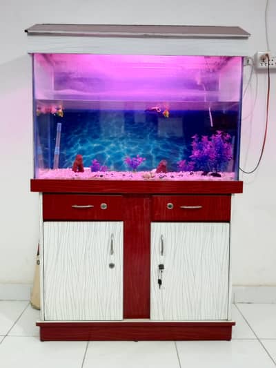 FISH EQURIUM FOR SALE