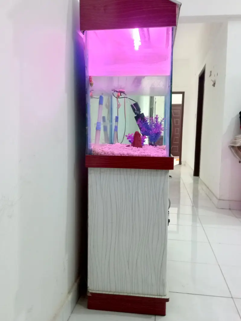 FISH EQURIUM FOR SALE — photo 4