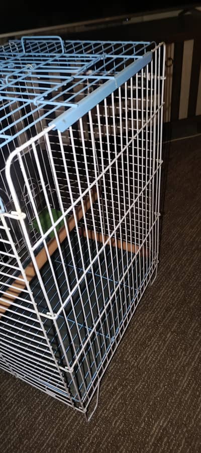 Parrot Cage