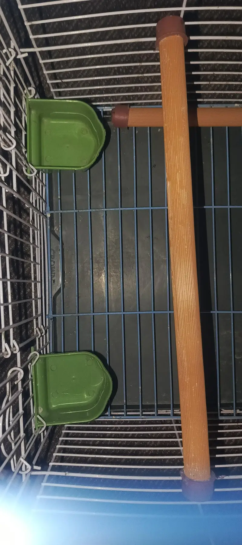 Parrot Cage — photo 2