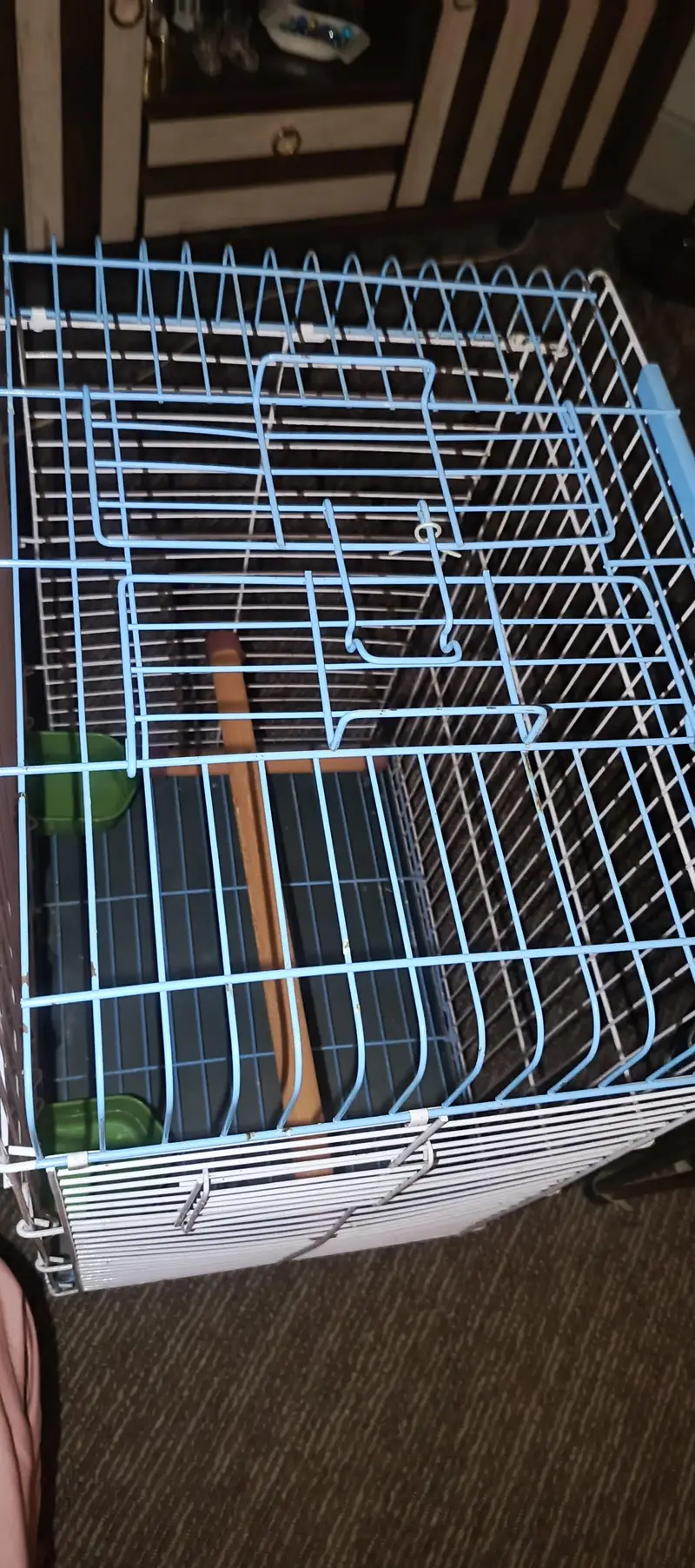 Parrot Cage — photo 3