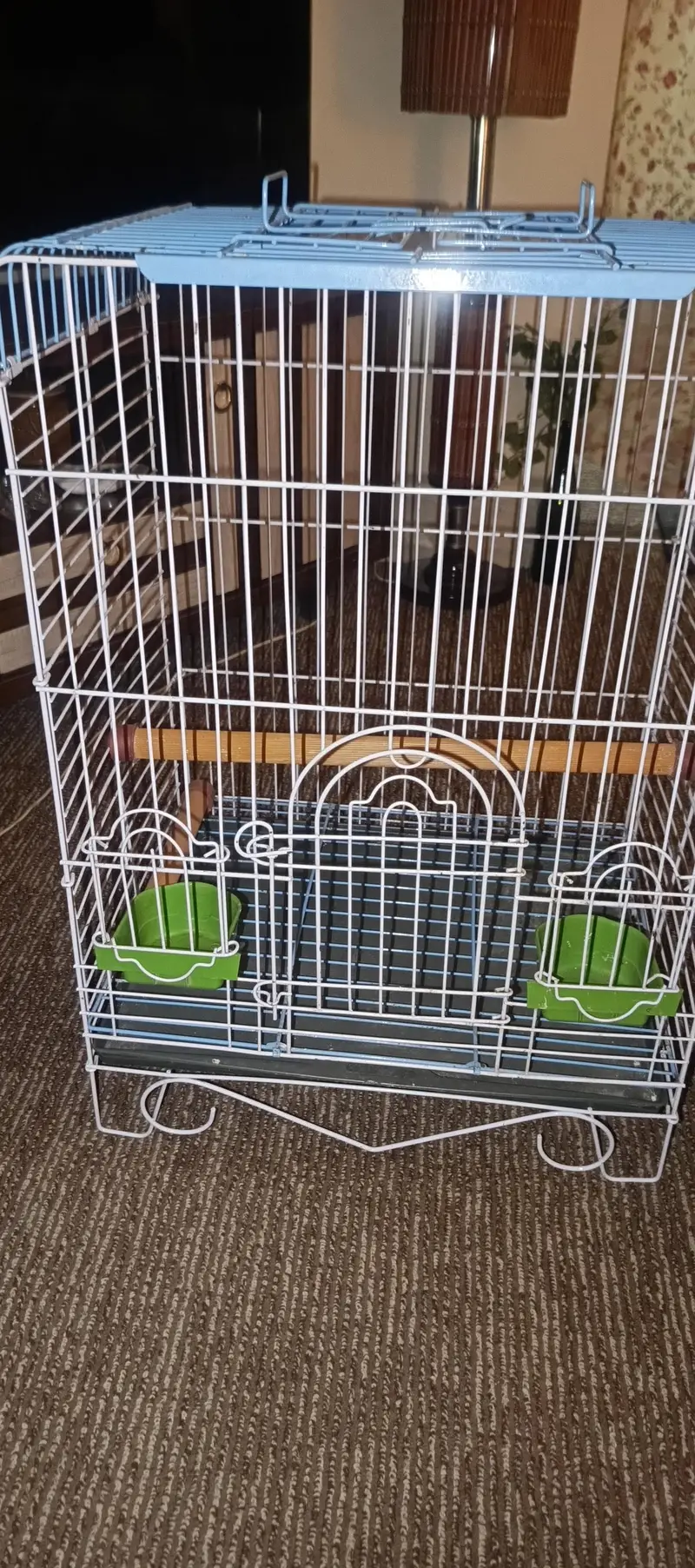 Parrot Cage — photo 7
