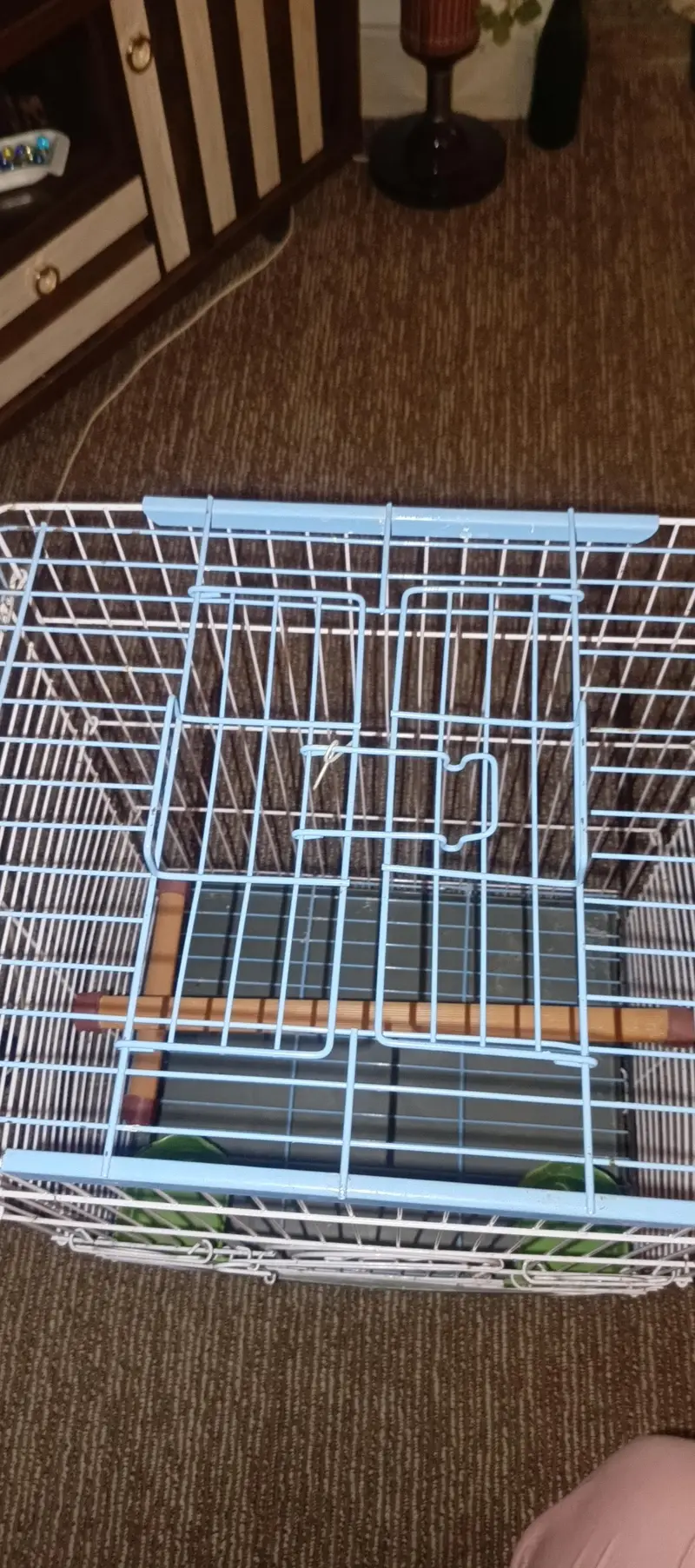 Parrot Cage — photo 8